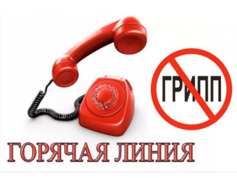 «Горячая линия» по вопросам профилактики гриппа и ОРВИ.